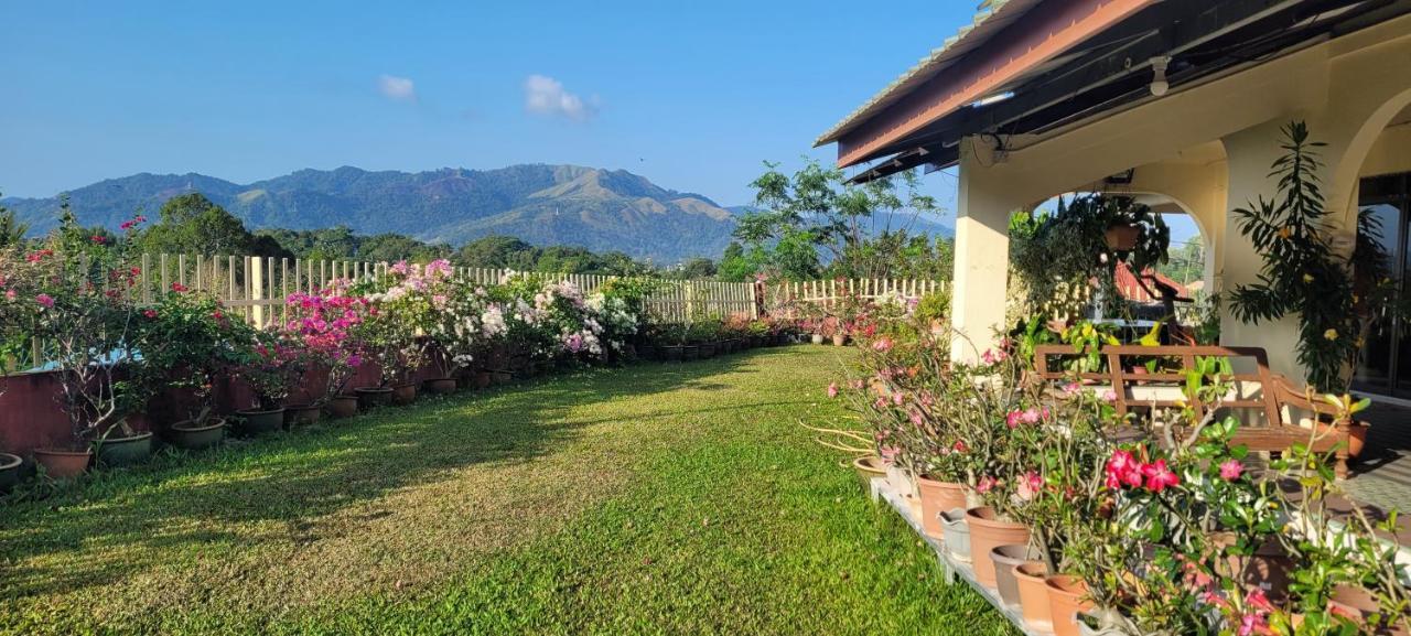 Mountain View Guest House Kb Kota Belud Exterior foto